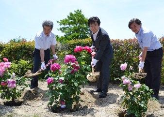 植樹の様子の写真