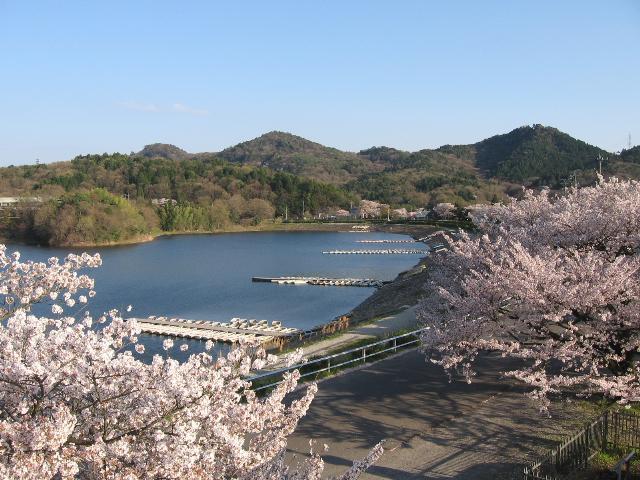 入鹿池の写真