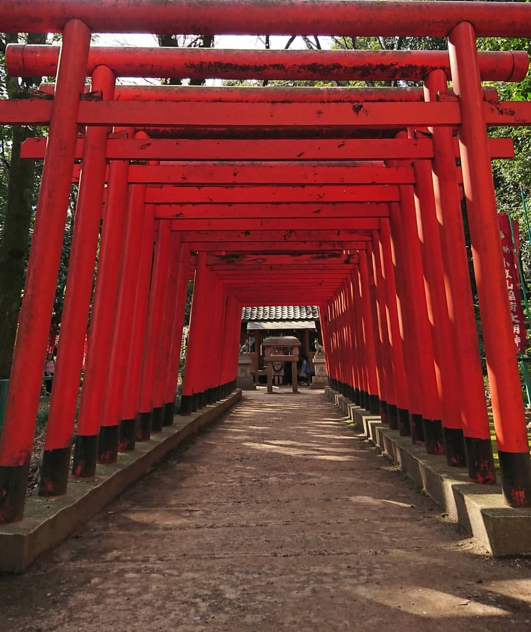 t_kohsaさんによる小牧山稲荷神社の写真