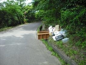 （写真）山道に家具が散乱している不法投棄現場の様子