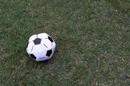 サッカーボールが一つ芝生に転がっている写真