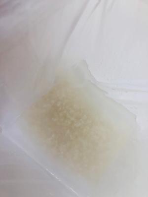 こめ(浸水)