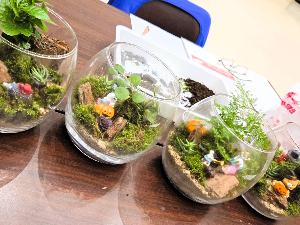 苔ジオラマ受講者作例