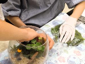 苔ジオラマ制作中