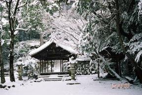 雪の積もった兒神社の写真