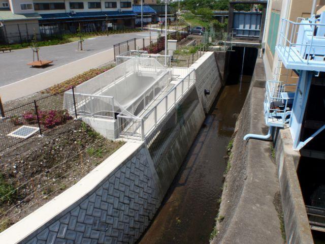 藤島雨水調整池の写真