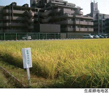 生産緑地地区の写真