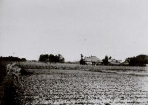 大正10年頃南西より田中砦跡を望む様子の写真