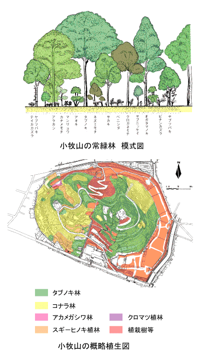 模式図