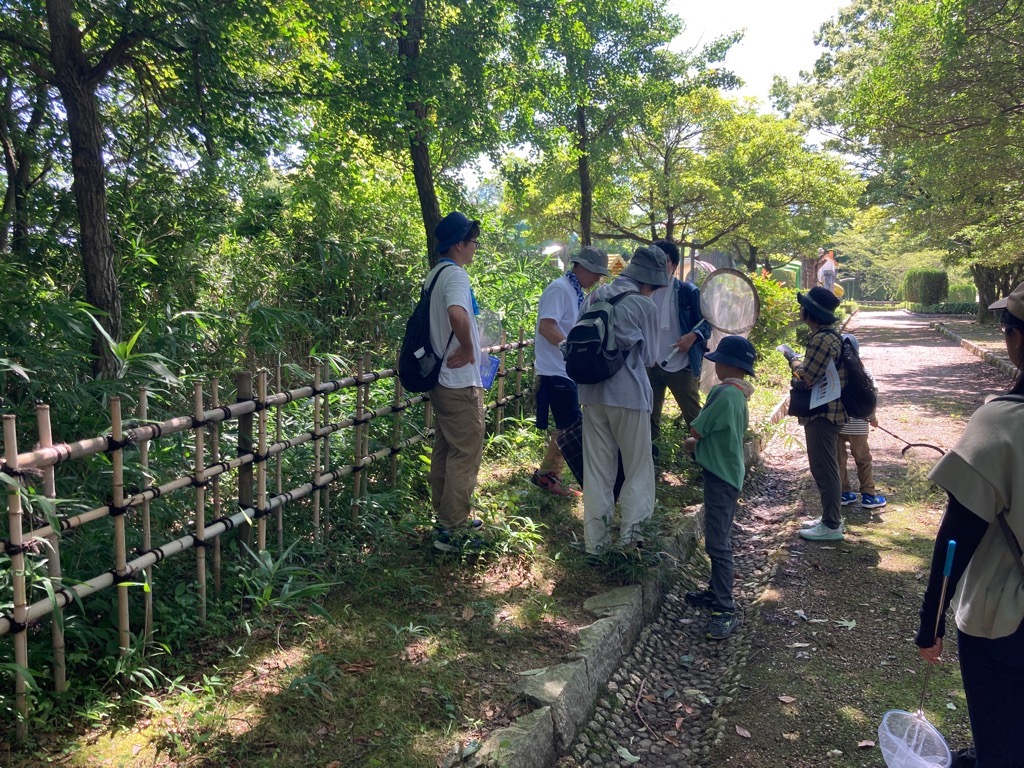 夏休み親子自然塾IN桃花台