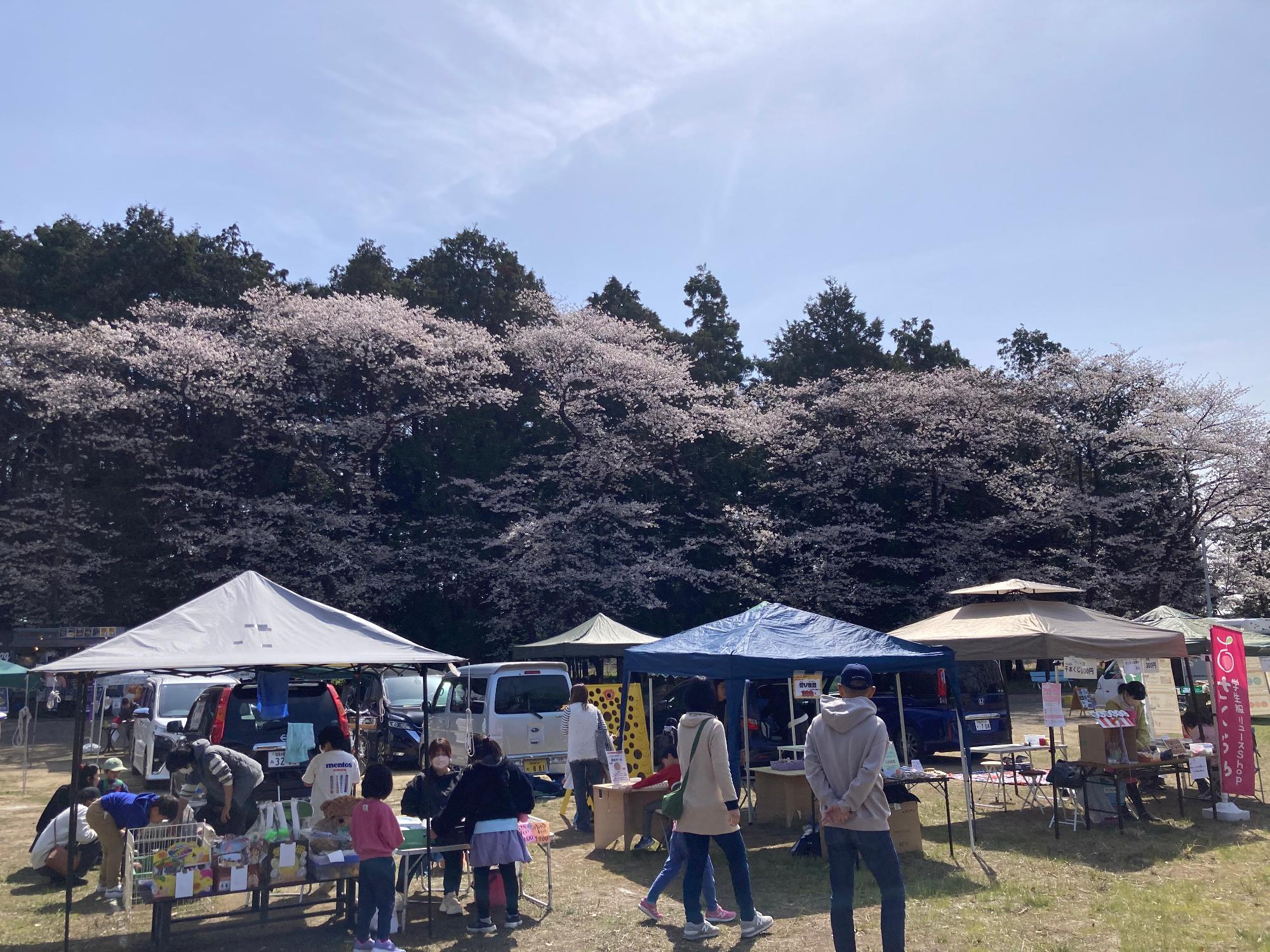 さくらマルシェ
