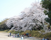 小牧山史跡公園の風景写真