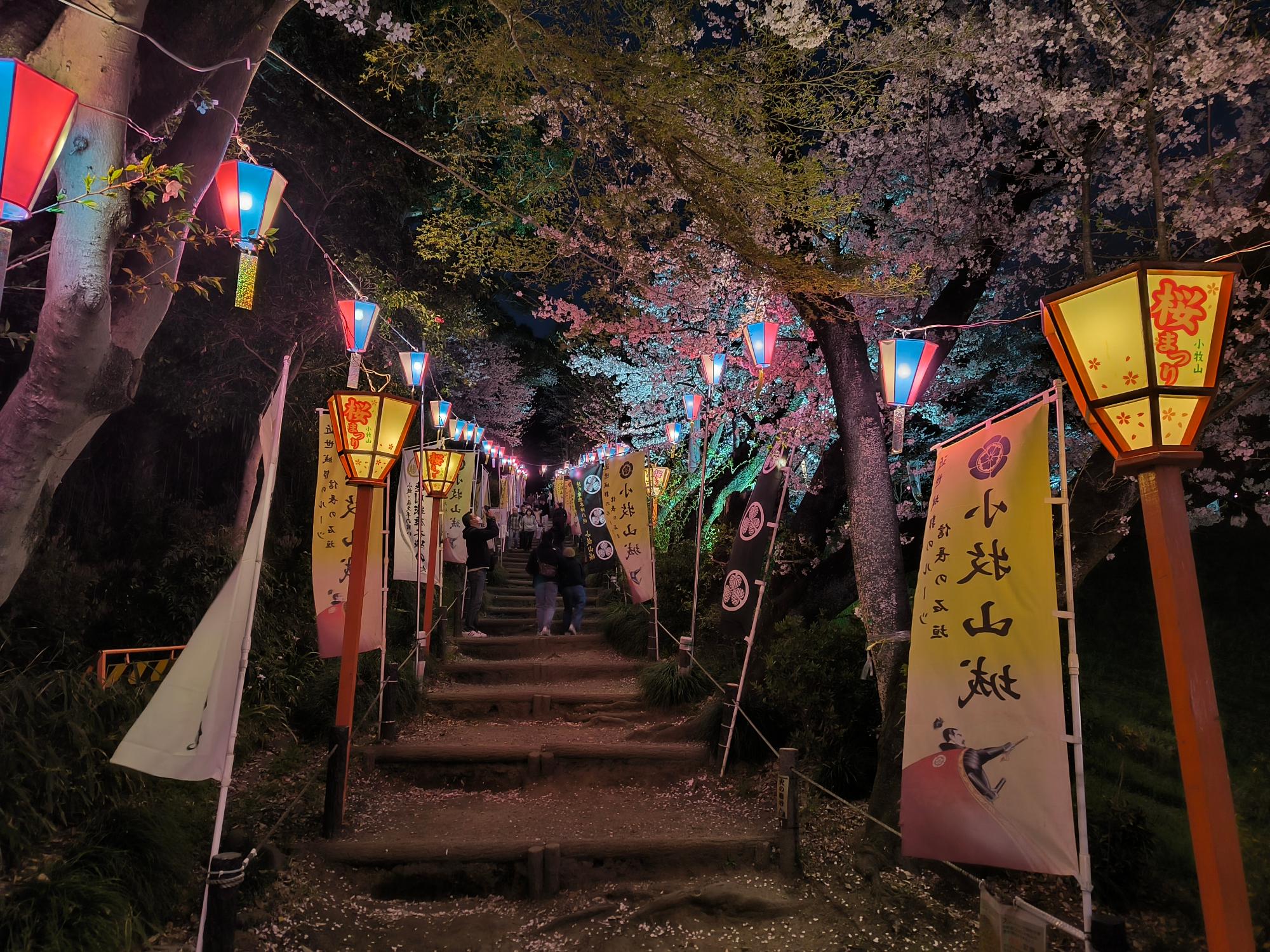 4月5日 小牧山さくらまつり_２