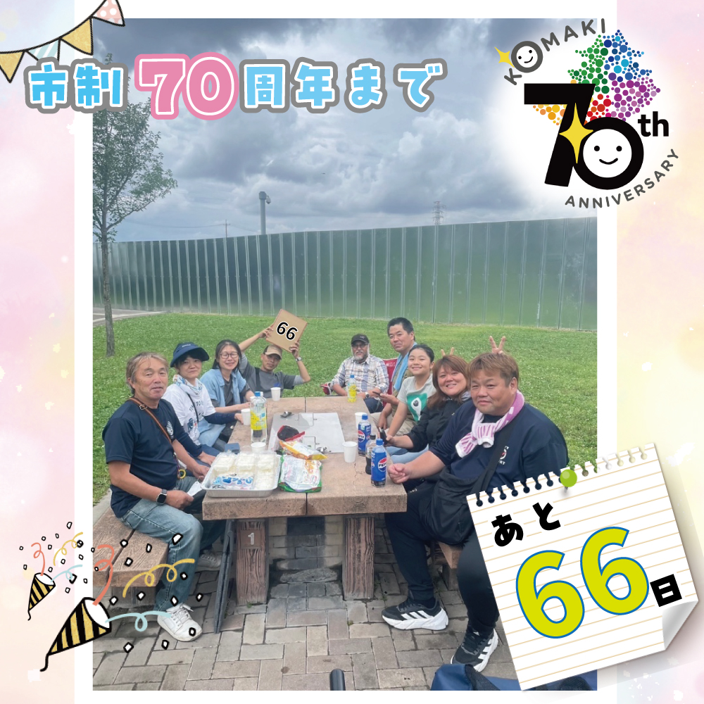 66