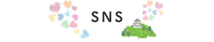 SNS