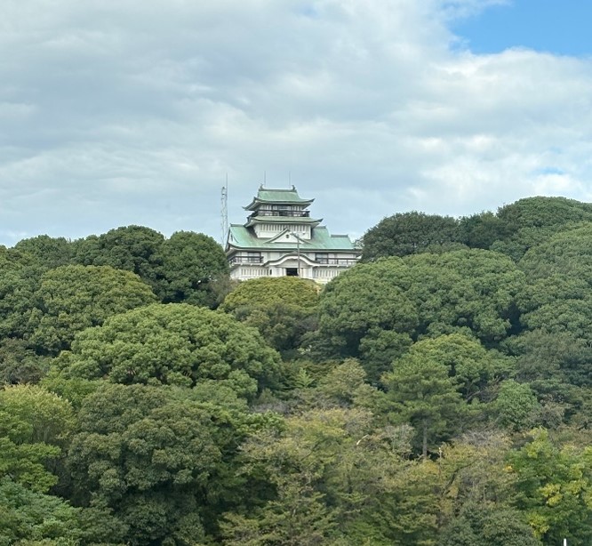 小牧山整備事業_剪定前