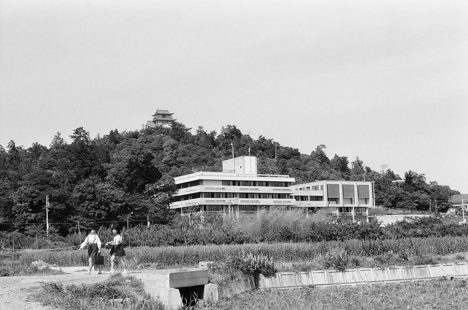 旧小牧市庁舎と小牧山