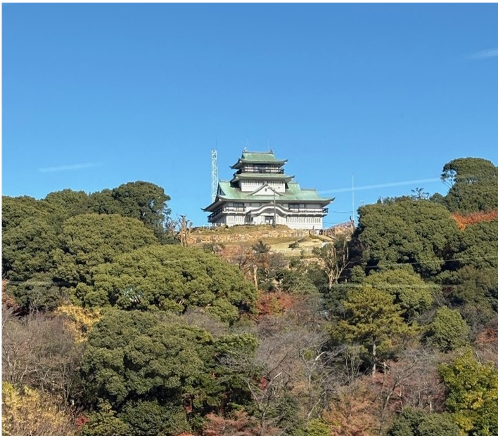 小牧山整備事業_剪定後