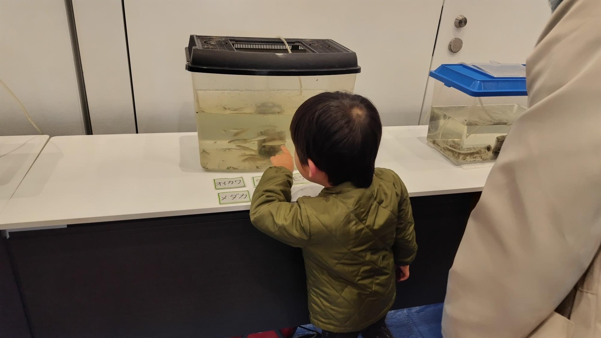 生物写真