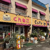 くんねこ