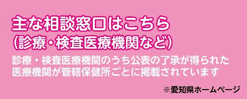 愛知県新型コロナウイルス感染症対策サイトはこちら