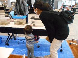 生き物の展示の様子