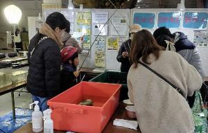 R7環境フェア自然環境観察人