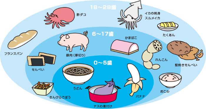 出典：『老人保健法に基づく歯の健康教育、歯の健康相談の担当者となったら』榊原悠紀田郎編集より((株)ヒョーロン・パブリッシャーズ)