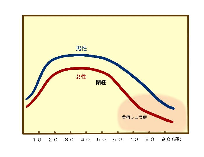 骨量グラフ