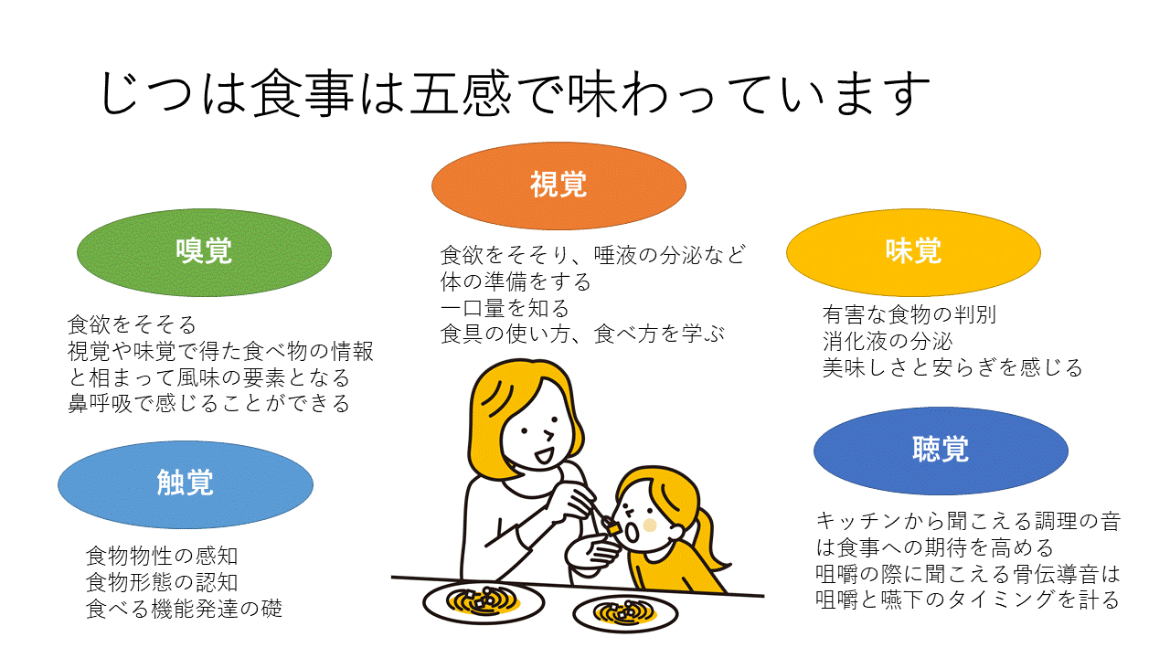 じつは食事は五感で味わっています