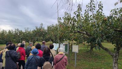 東部ゆうゆう第11回