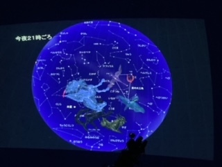 202210010101