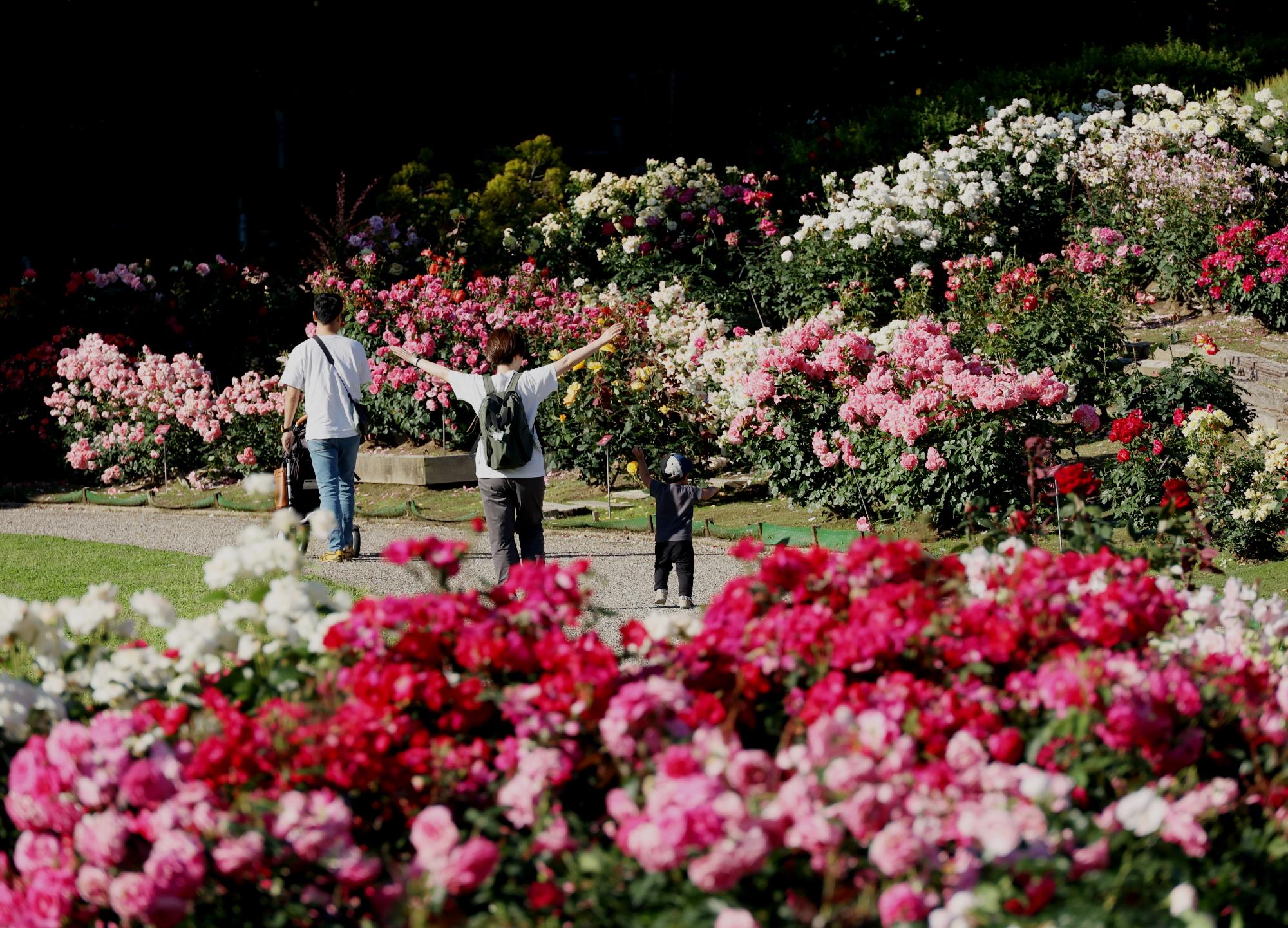 いっぱいの幸せ