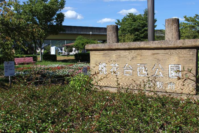 桃j花台