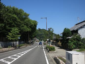 緑に包まれた神明社