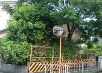 樹木が繁茂した空き家